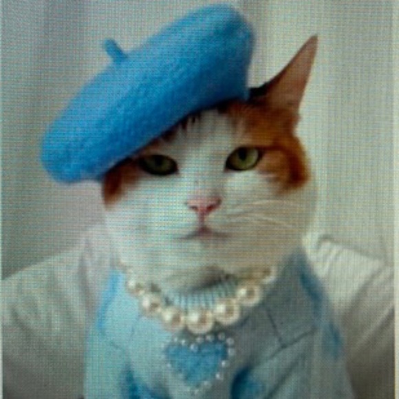 Purrrr⭐️I Found My Hat On Poshmark